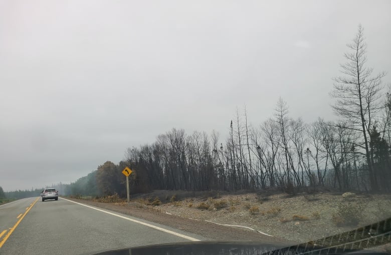 A road seen from behind the windshield of a vehicle. The sky is overcast and the air is smoky. Charred vegetation can be seen along the roadside.
