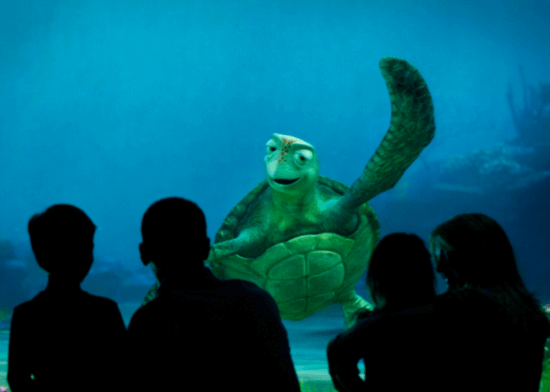 Turtle talk with swarm